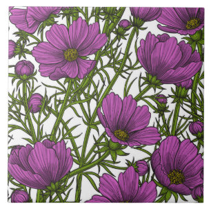 Violet cosmos blommor kakelplatta
