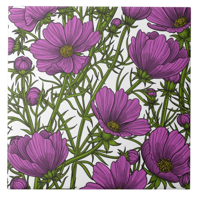 Violet cosmos blommor kakelplatta (Framsidan)