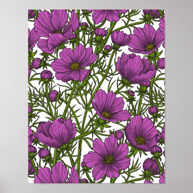 Violet cosmos blommor poster (Framsidan)