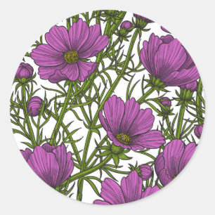 Violet cosmos blommor runt klistermärke