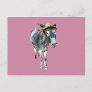 Violet Donkey in Straw Hat with Flowers Vykort