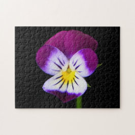 Violet Flower 11x14 252pc jpcnm Pussel