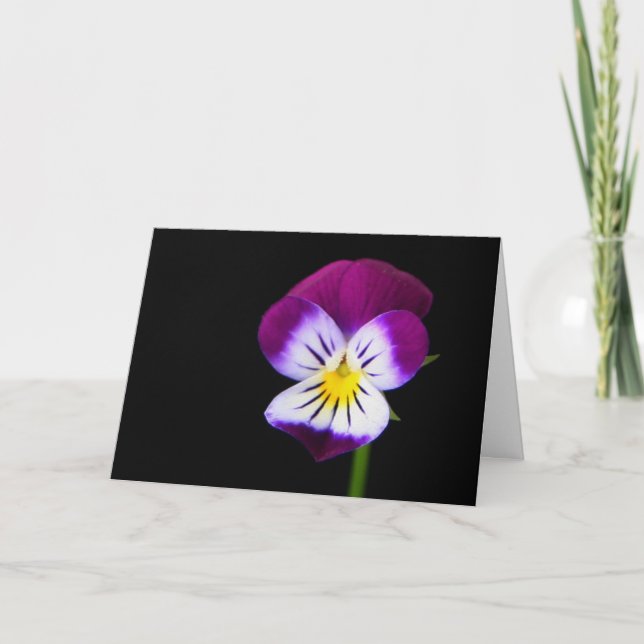 Violet Flower gcm Kort (Framsida)
