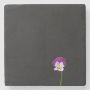 Violet Flower kustera Stenunderlägg