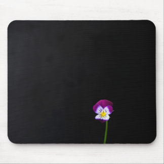 Violet Flower mpcna Musmatta