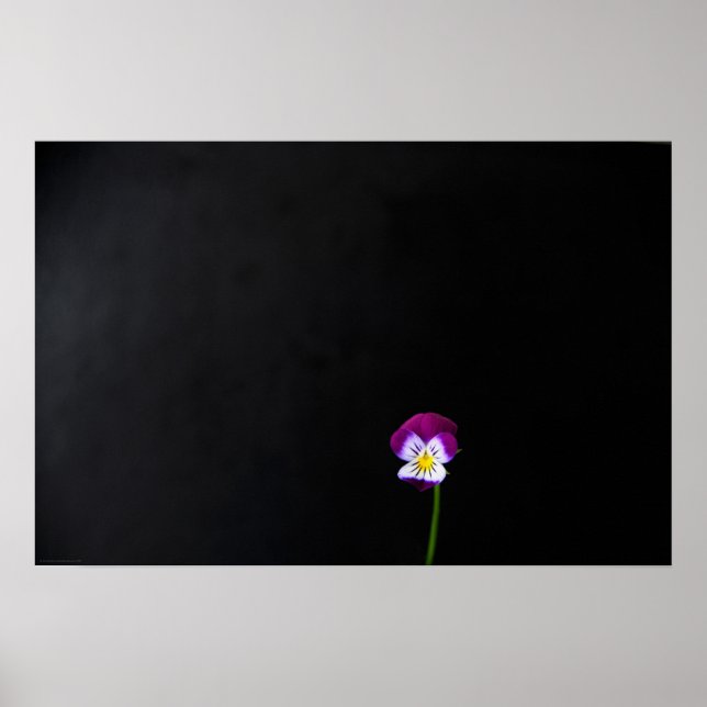 Violet Flower wapcn Poster (Framsidan)