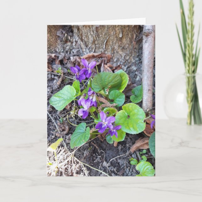 Violet Flowers i Forest Kort (Framsida)