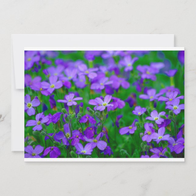 Violet Flowers-inbjudan Inbjudningar (Framsida)