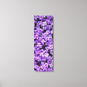 Violet Flowers Kanvastryck Violets Vår