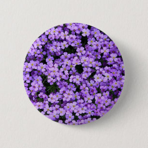 Violet Flowers-knapp Violets Knapp