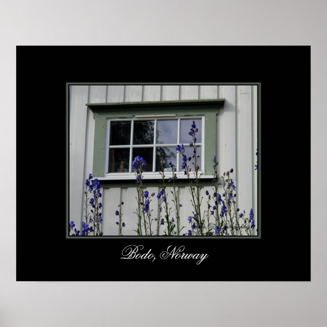 Violet Flowers och en Window Poster (Framsidan)