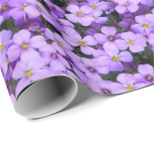 Violet Flowers Wrapping Papper Violets Presentpapper