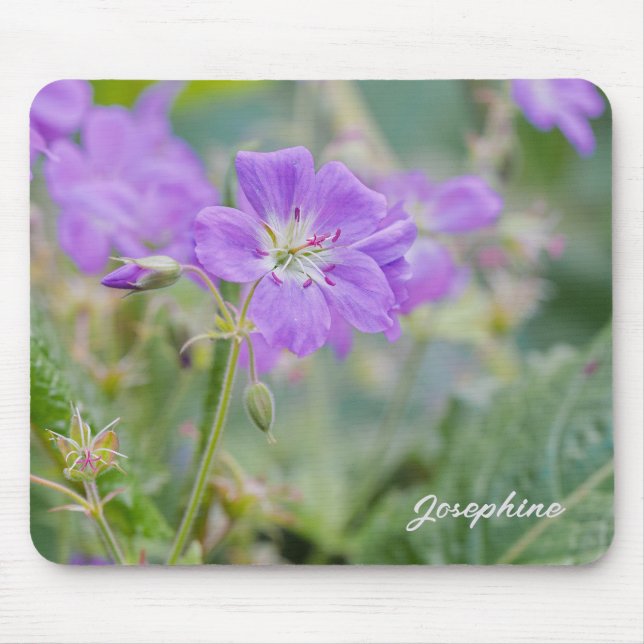 Violet Geranium Wildbloms Blommigt Photo with Namn Musmatta (Framsidan)