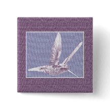 Violet Hummingbird-knapp