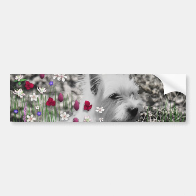 Violet i blommor - vitWestie hund Bildekal (Framsidan)