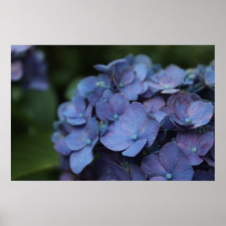 Violet i Twilight Poster