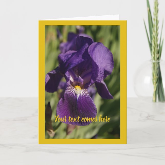 violet iris kort (Framsida)