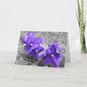 Violet, kort