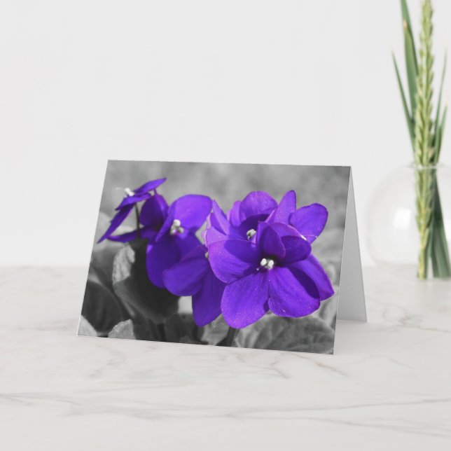 Violet, kort (Framsida)