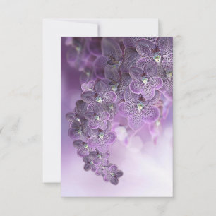 Violet Lila Blooming Flower Orchids Tack Kort