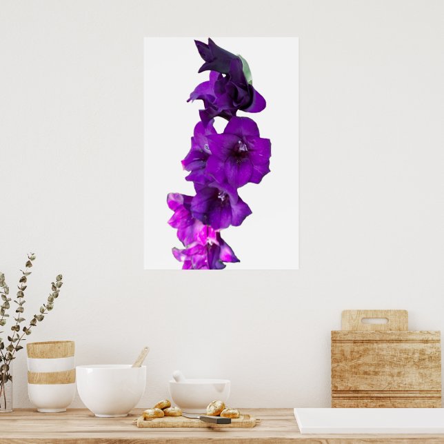 Violet Lila Gladiolus Blommigt Poster (Kök)