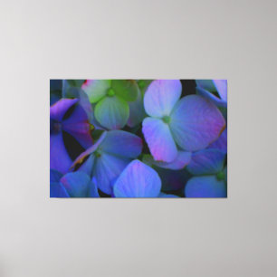Violet lila rosa Blue Hydrangeas Blå blommor Canvastryck