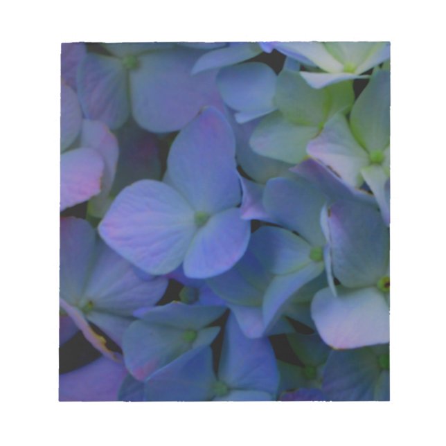Violet lila rosa blue hydrangeas blommigt anteckningsblock (Framsida)