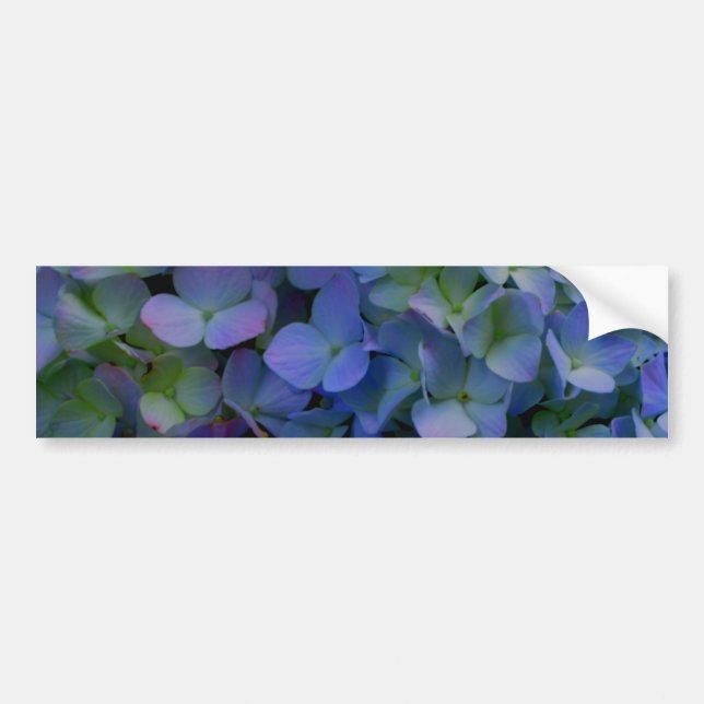 Violet lila rosa blue hydrangeas blommigt bildekal (Framsidan)