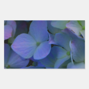 Violet lila rosa blue hydrangeas blommigt rektangulärt klistermärke