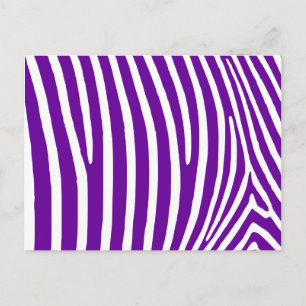 Violet Lila Zebra ränder Vykort