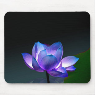 Violet Lotus i fullt-blomet, mousserande Musmatta