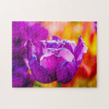 Violet Parrot Tulip Colorful Scene