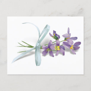 Violet Post Card Vykort