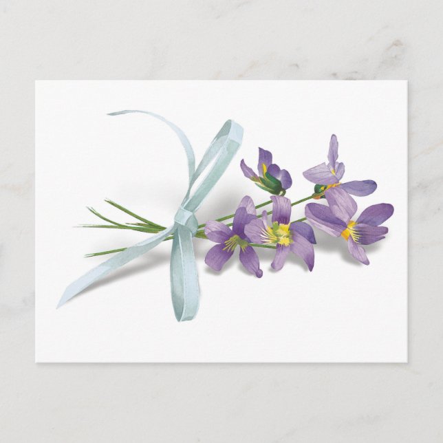 Violet Post Card Vykort (Framsida)