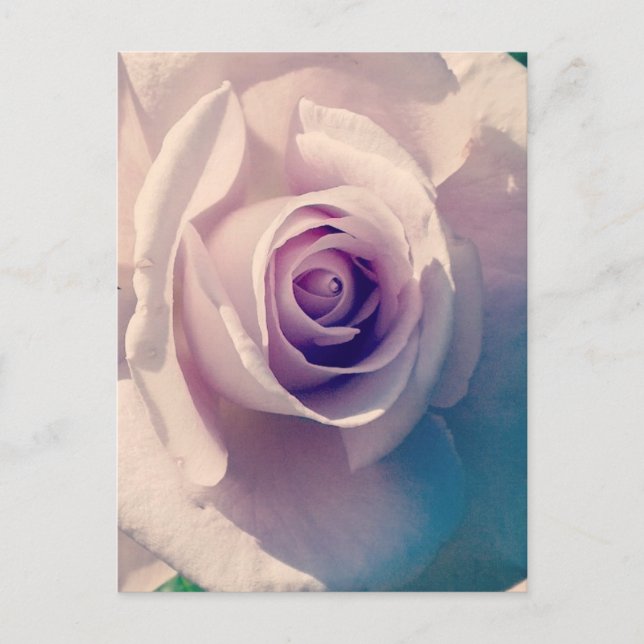 Violet Ro Helg Vykort (Framsida)