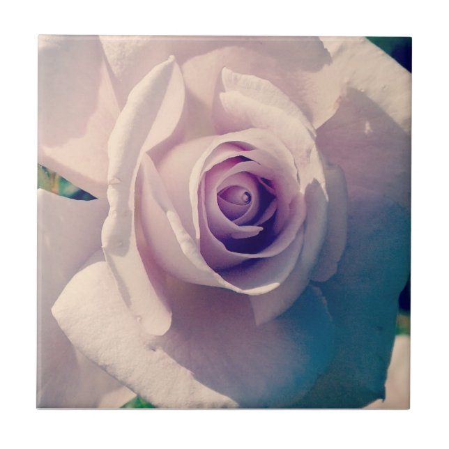 Violet Ro Kakelplatta (Framsidan)