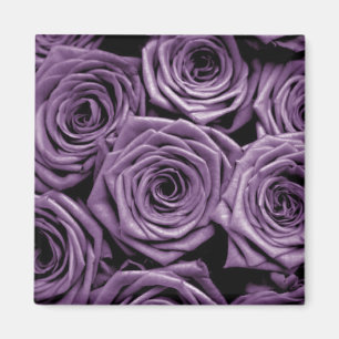 Violet Ro Magnet