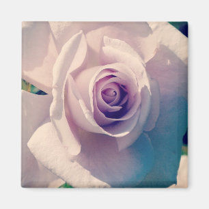 Violet Ro Magnet