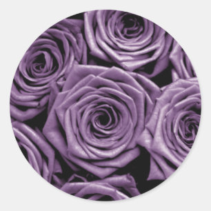 Violet Ro Runt Klistermärke