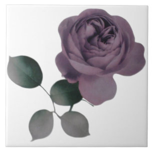 Violet Ro Tile Kakelplatta