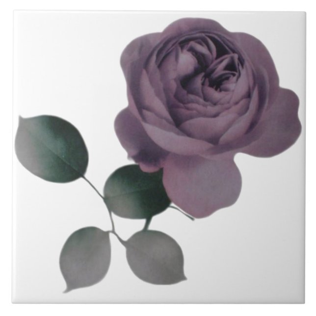 Violet Ro Tile Kakelplatta (Framsidan)