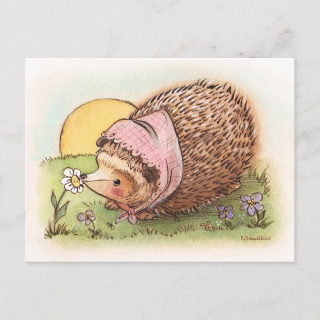 Violet the Hedgehog Vykort (Framsida)