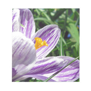 Violet Vår Crocus Anteckningsblock