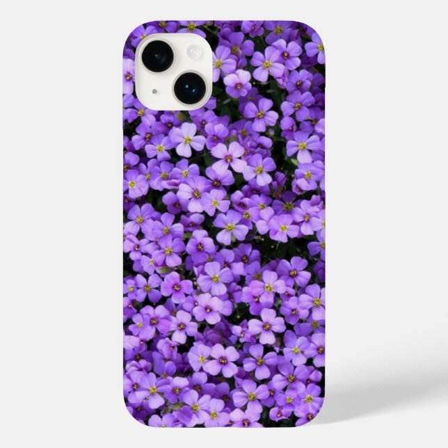 Violet Vår Lila blommor Violet (Baksida)
