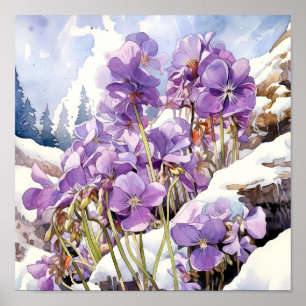 Violet Wall Art, Blommigt Square Poster
