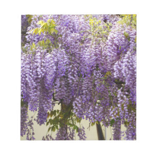 Violet Wisteria Flowers Anteckningsblock