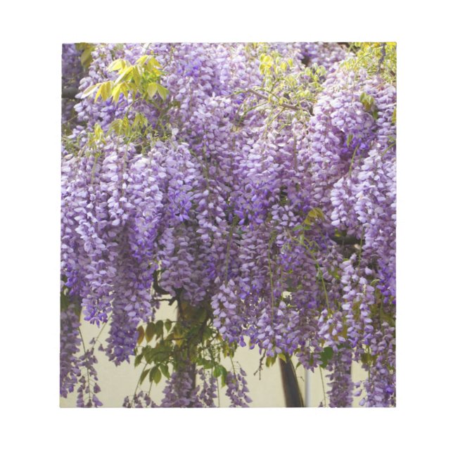 Violet Wisteria Flowers Anteckningsblock (Framsida)