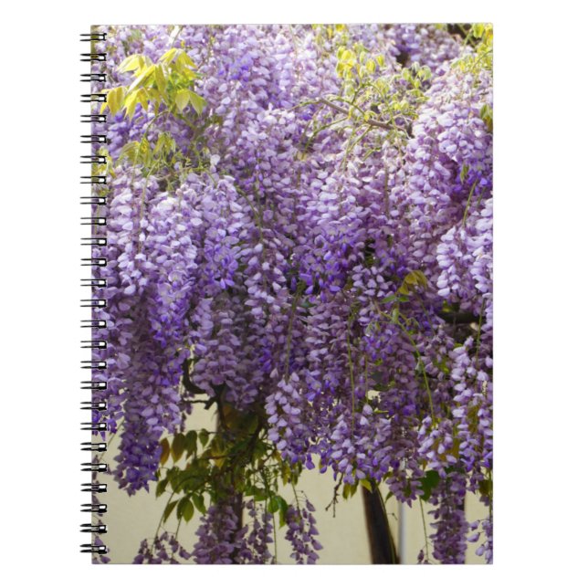 Violet Wisteria Flowers Anteckningsbok (Framsidan)