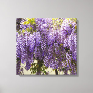 Violet Wisteria Flowers Canvastryck