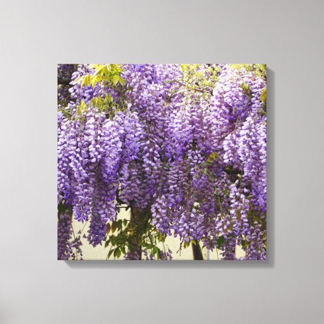 Violet Wisteria Flowers Canvastryck (Framsida)